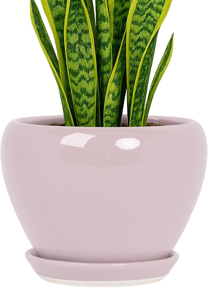 Deep Dream 8 Inch Plant Pots- Ceramic Pots by DeepDream