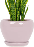 Deep Dream 8 Inch Plant Pots- Ceramic Pots by DeepDream