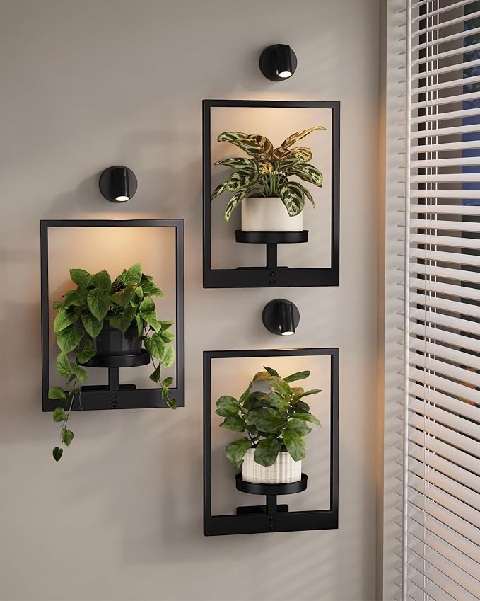 Bamworld Hanging Planters for Indoor Plants Wall Decor Living Room Light | by Bamworld