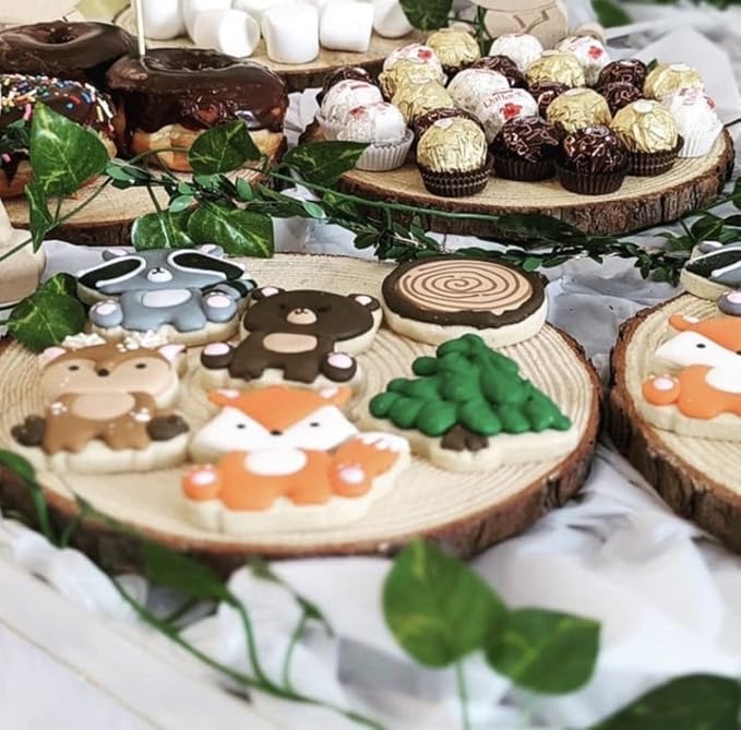 Set of 9-11 inch Wood Slices for centerpieces! Wood Slice centerpieces - Image 4