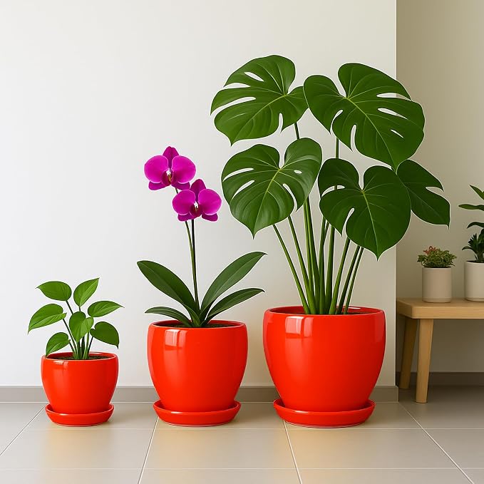 Deep Dream 8 Inch Plant Pots- Ceramic Pots - Image 5