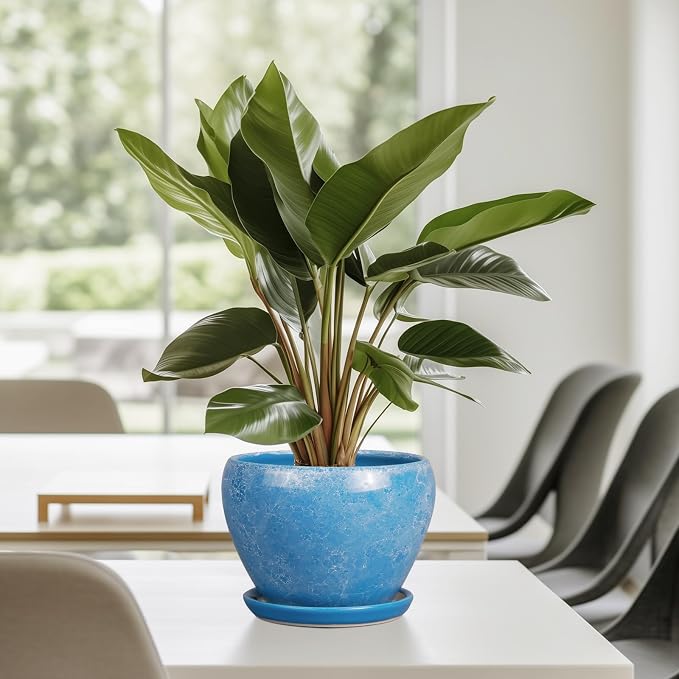 Ceramicfor 6 Inch Plant Pot - Image 8