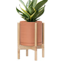 D'vine Dev Terracotta Pot with Natural Wood Stand, 10 in, 55-B-K-5 | by DvineDevPlanterPotsandStand