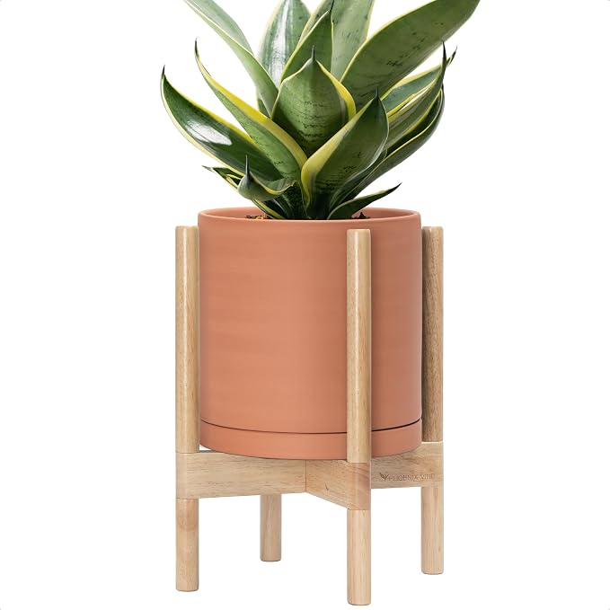 D'vine Dev Terracotta Pot with Natural Wood Stand, 10 in, 55-B-K-5 | by DvineDevPlanterPotsandStand