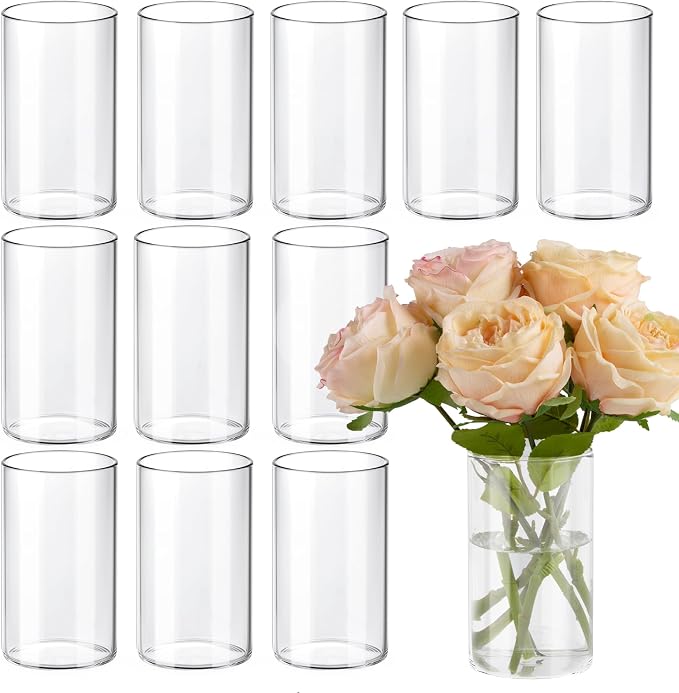12pcs 6 Inch Clear Glass Cylinder Vases by TBWIND