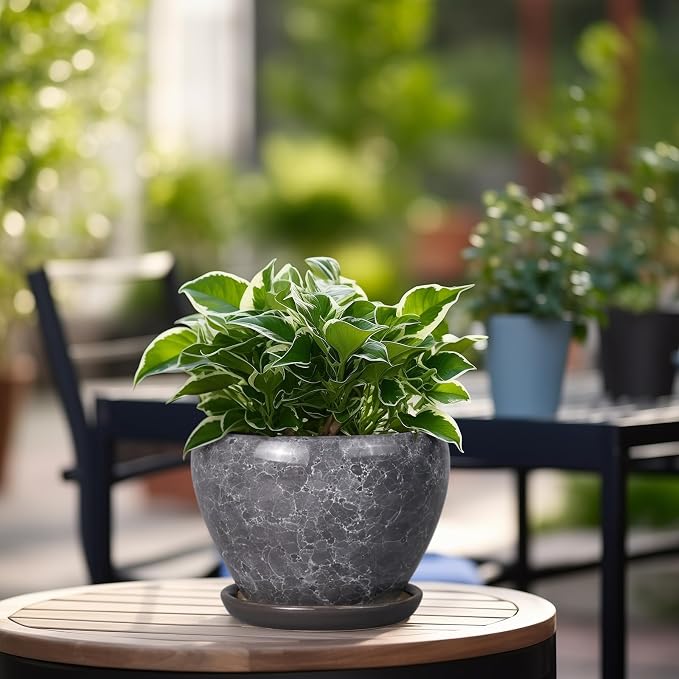 Ceramicfor Ceramic Planter - Image 6