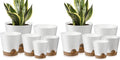 YNNICO Indoor Self Watering Planters by AFamilyofGardenLovers