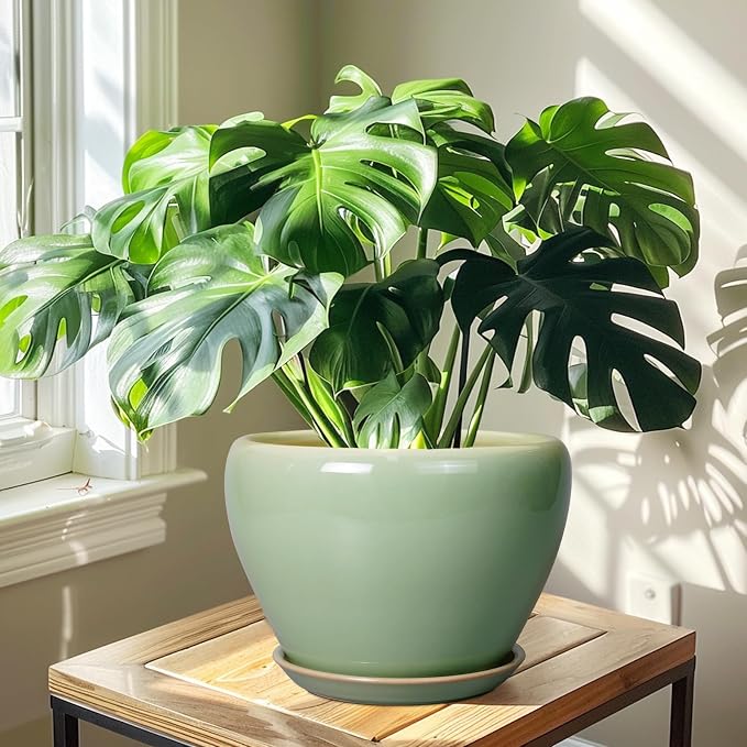 Ceramicfor Ceramic Planter Pot, 10 Inch Plant Pot, Reactive Green | Decorative - Image 6
