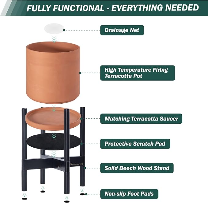 D'vine Dev Terracotta Pot with Ebony Wood Stand, 12 in, 55-B-H-5 | Mid-Century - Image 5