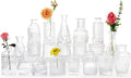Glass Bud Vases -Set of 20 for Flowers, Small Clear Bud Vases in Bulk for by QLOFEI