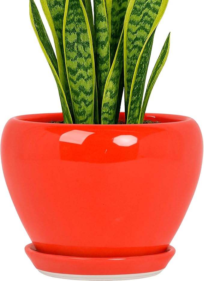 Deep Dream 8 Inch Plant Pots- Ceramic Pots by DeepDream
