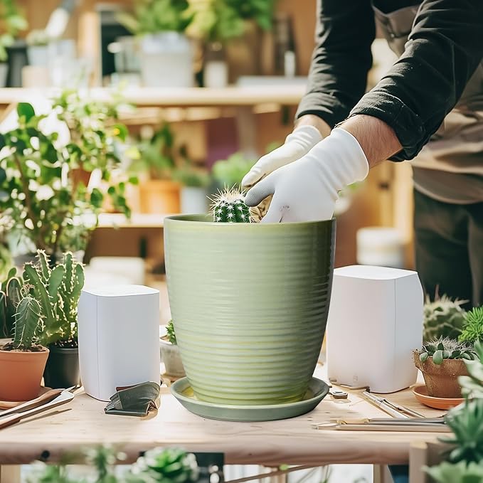Ceramic Pots for Plants - Image 4