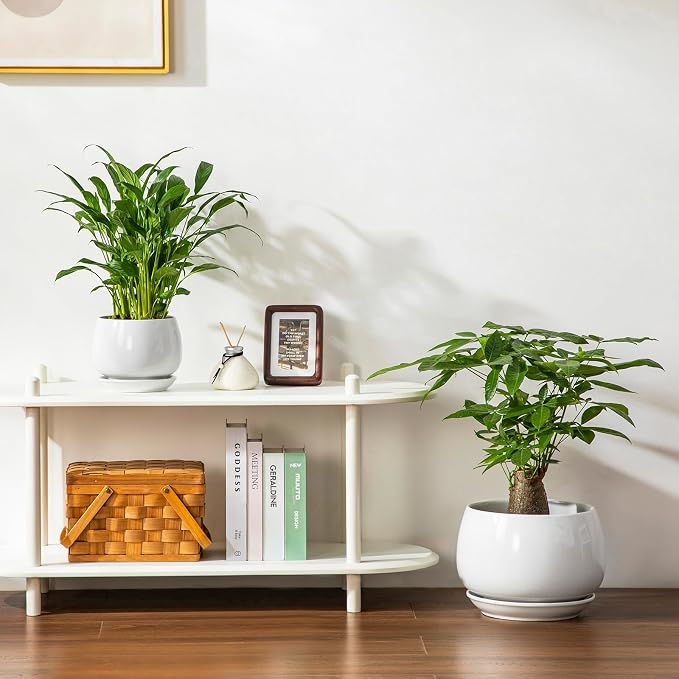 vancasso 3-Pack Ceramic Plant Pots, 7.3/9.6/11.6 Inch Indoor Planters - Image 8