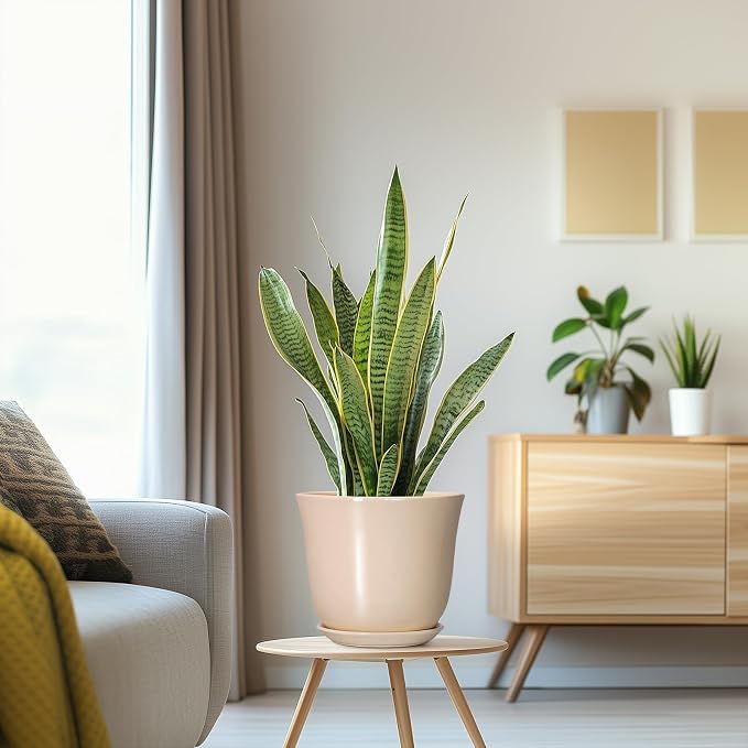 8 Inch Plant Pot, Ceramic Pots for Plants Indoor, Modern Decorative Planters - Image 5