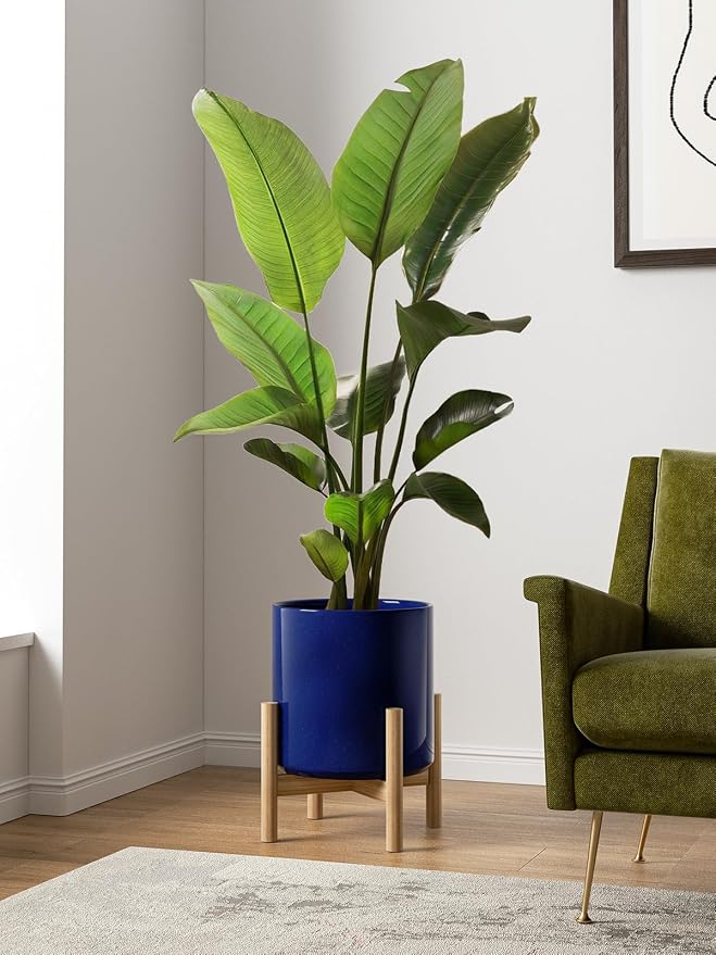 LE TAUCI 12 Inch Pot for Plants, Ceramic Planters for Indoor Plants, - Image 2