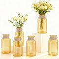 6 Pack Mason Jar Vases for Centerpieces, Wide Mouth Mason Jars by LEYIQU