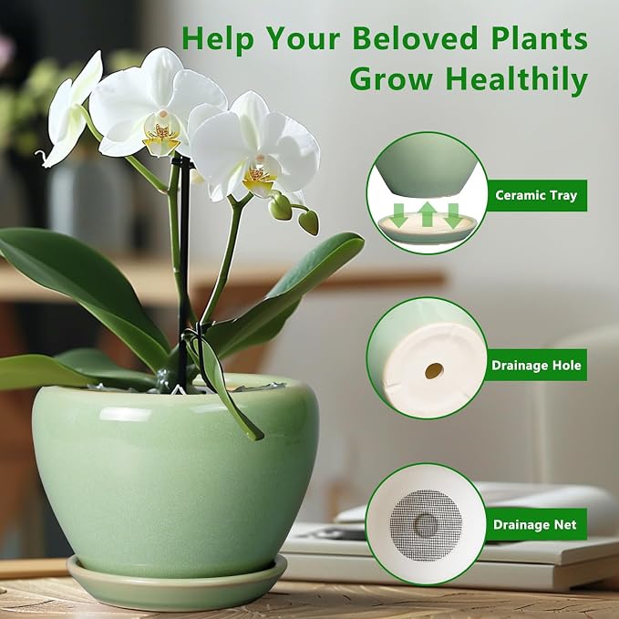 Ceramicfor Ceramic Planter Pot, 10 Inch Plant Pot, Reactive Green | Decorative - Image 5