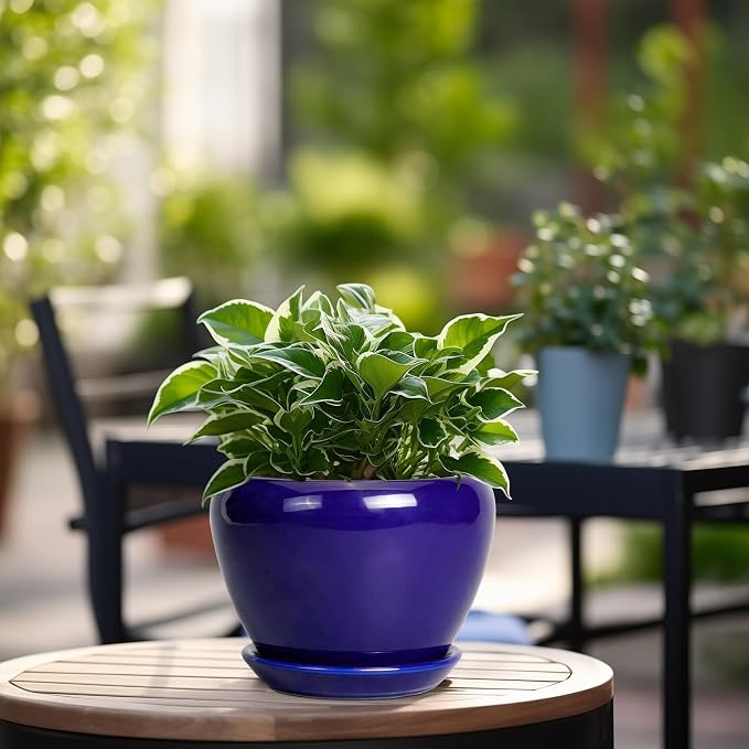 Ceramicfor 6 Inch Plant Pot - Image 4