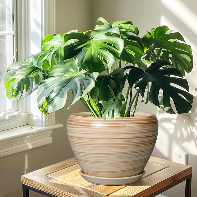 Ceramicfor Ceramic Pot for Plant 10 Inch - Image 7