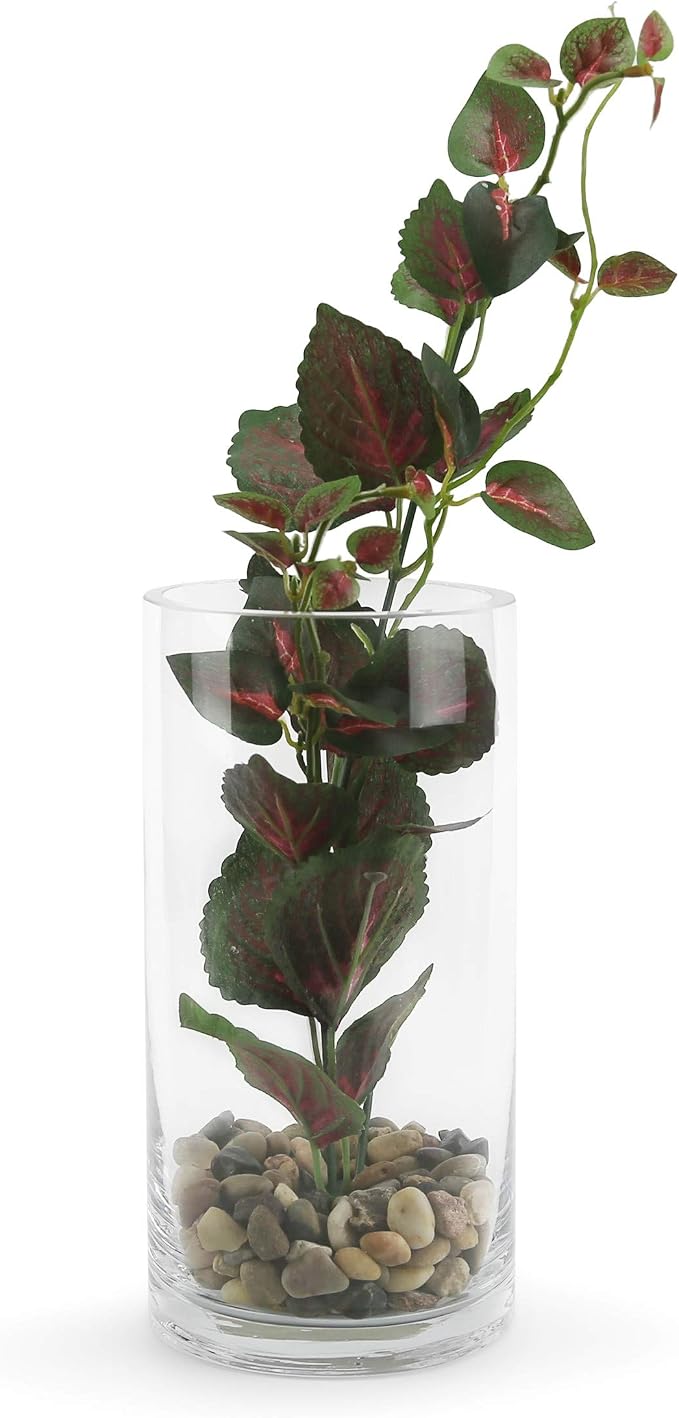 WGVI Quality Thick Weighted Clear Cylinder Glass Vases, Flower Arrangement - Image 4