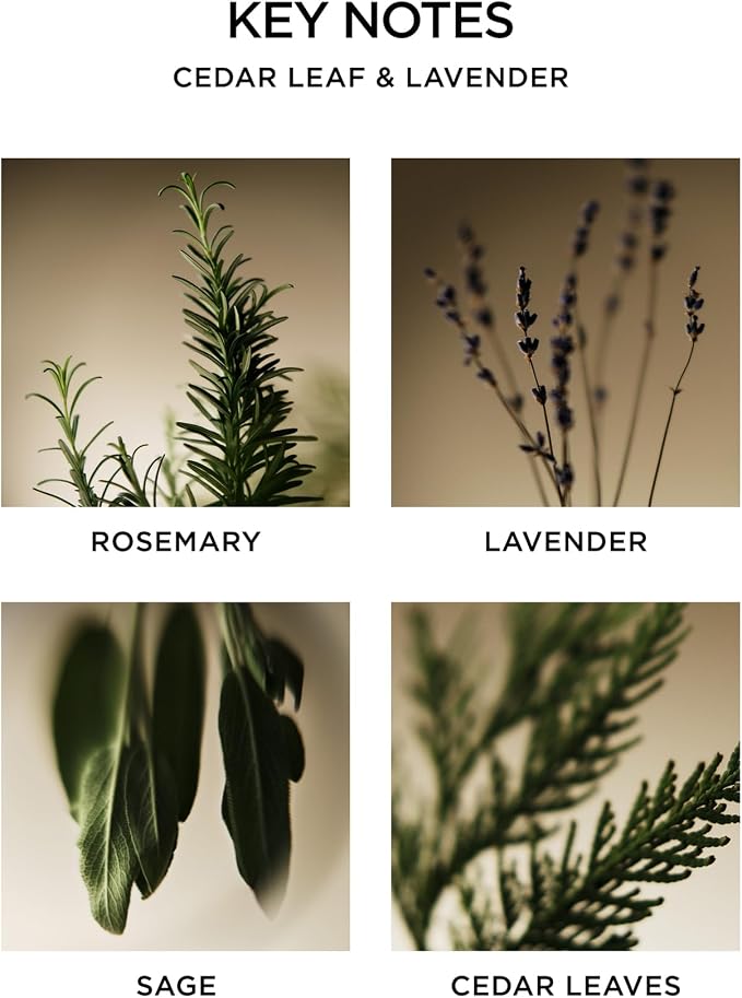 NEST New York Scented Classic Candle, Cedar Leaf & Lavender - Image 4