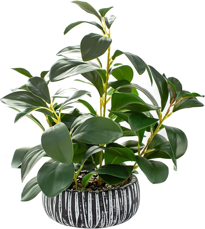 AlphaAcc Fake Plants Potted Artificial Succulents Home Office Decor | by AlphaAcc