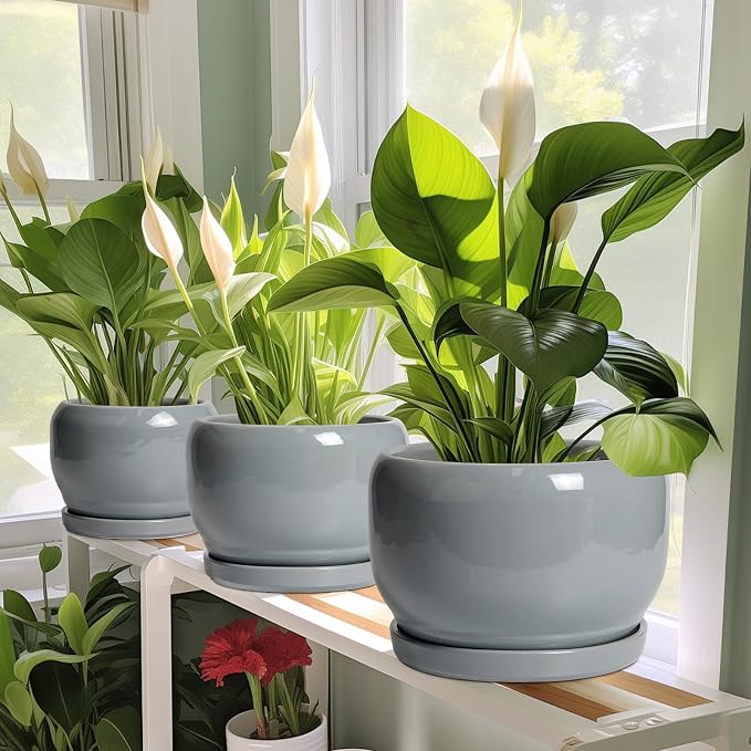 SQOWL 6 Inch Plant Pots - Image 5