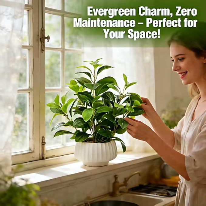 Artificial Peperomia Plants 16” Tall Lifelike Faux Greenery in 6” White Ribbed - Image 4
