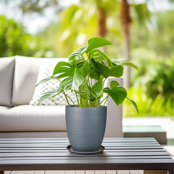 8 Inch Ceramic Plant Pot Large Planter Pot - Image 6