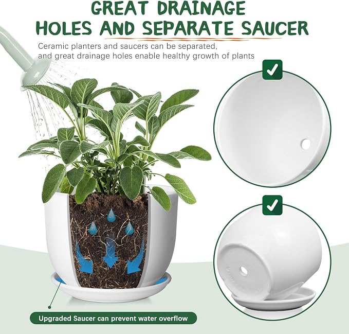 8 Inch Ceramic Planter, Plant Pots - Image 3