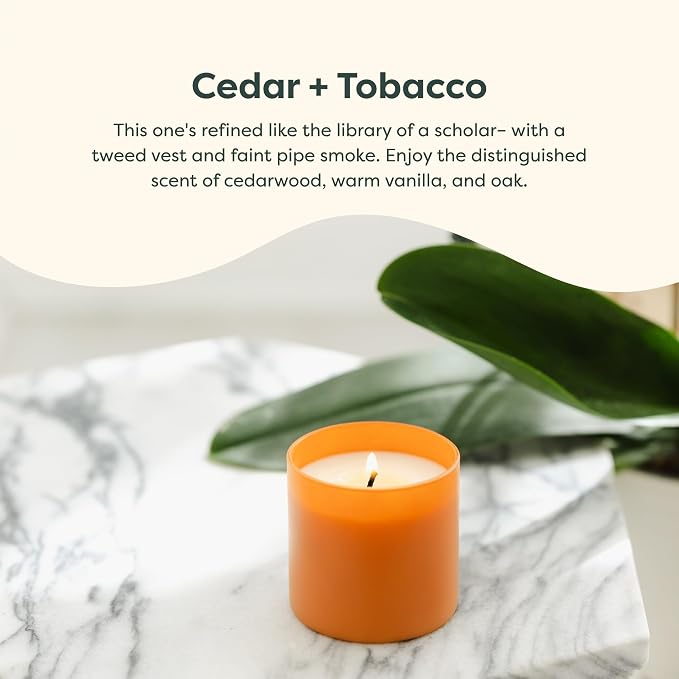 Dignity Series Cedar & Tobacco Scented Candle - Image 3