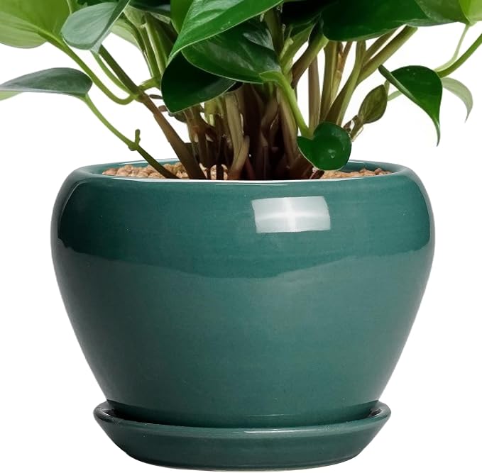 Ceramicfor Indoor Plant Pot 6 Inch by Ceramicfor