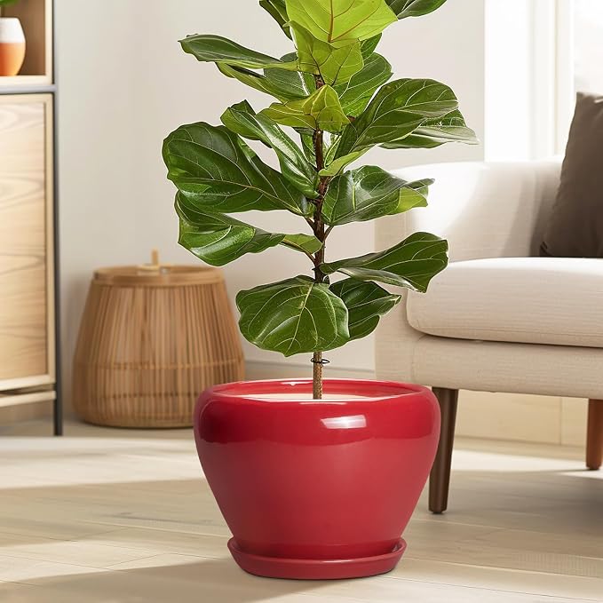 Ceramicfor 10 Inch Plant Pot, Ceramic Planter - Image 2