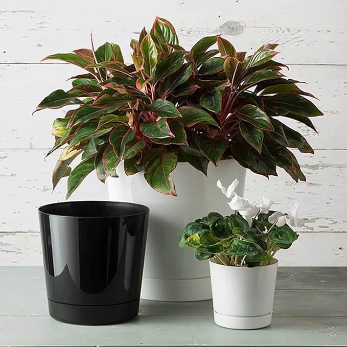 Novelty Majestic Full Depth Cylinder Pot, Glossy White - Image 7