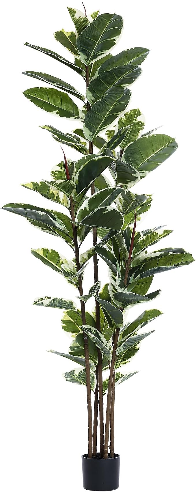 FLOWORLD Artificial Rubber Tree Plant 6ft Tall Faux Ficus Tree Potted Fake - Image 8