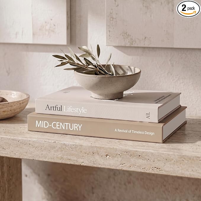 Aesthetic Decorative Books Set of 2 by ZICOTO
