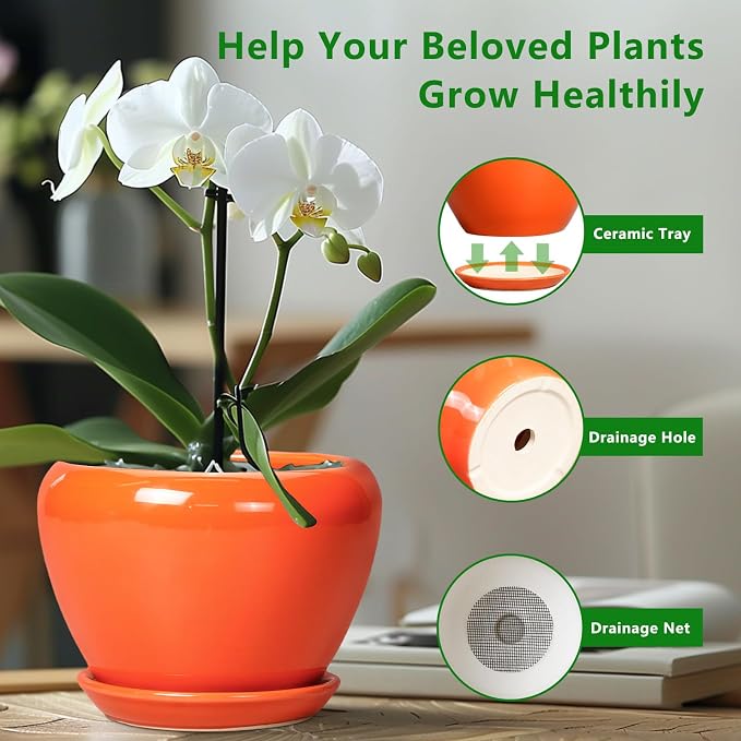 Ceramicfor Indoor Plant Pot 8 Inch - Image 6