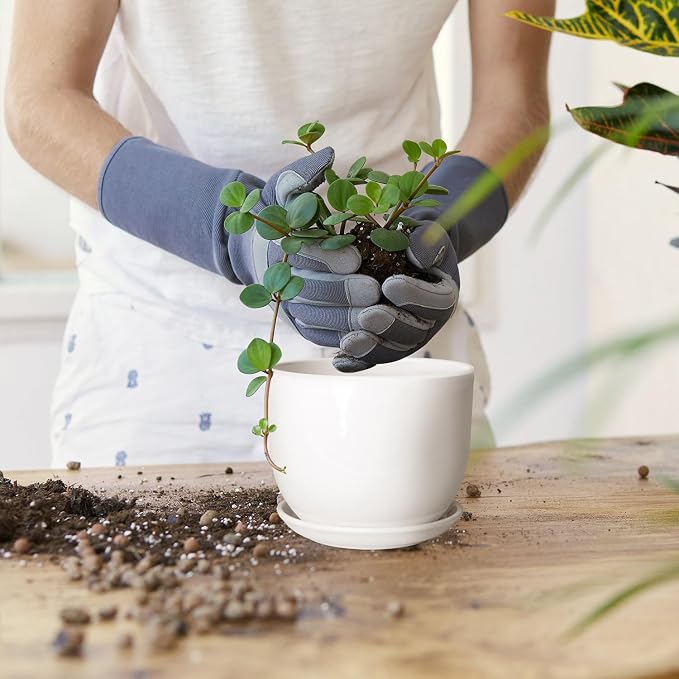Ceramic Plant Pots, Ceramic Planter - Image 2