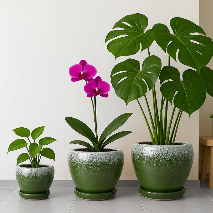 Deep Dream 8 Inch Plant Pots- Ceramic Pots - Image 7