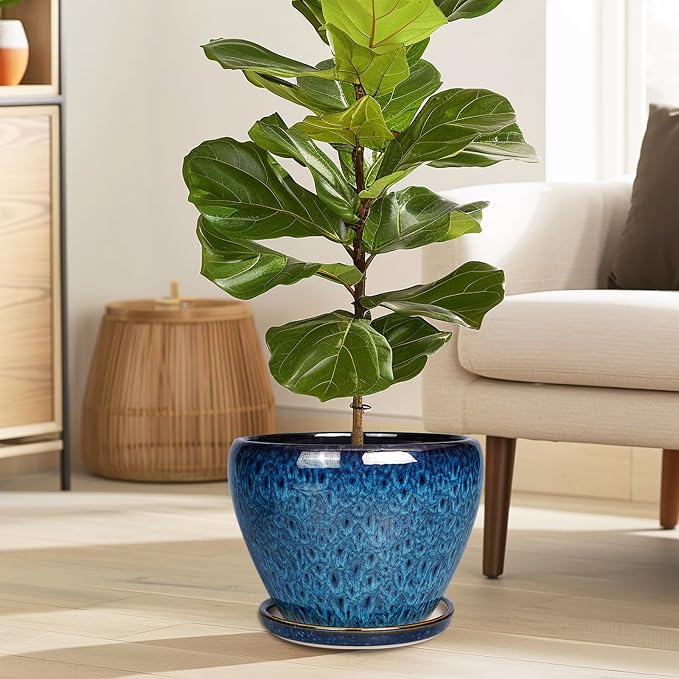 Ceramicfor 10 Inch Ceramic Planter Pot, Ceramic Plant Pot - Image 2