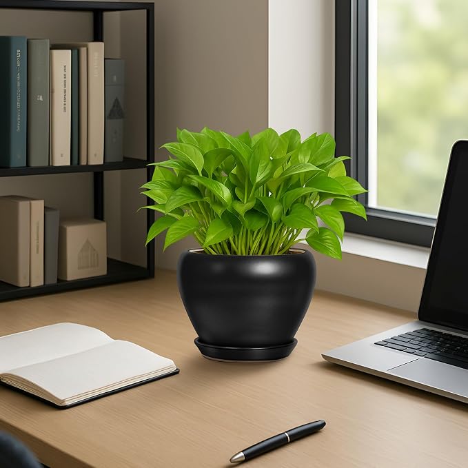6 Inch Plant Pot - Image 4