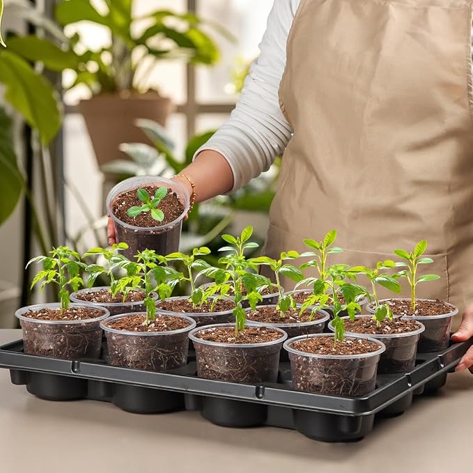 RooTrimmer 12 Cell Nursery Pot Trays 5 Pack - Image 6
