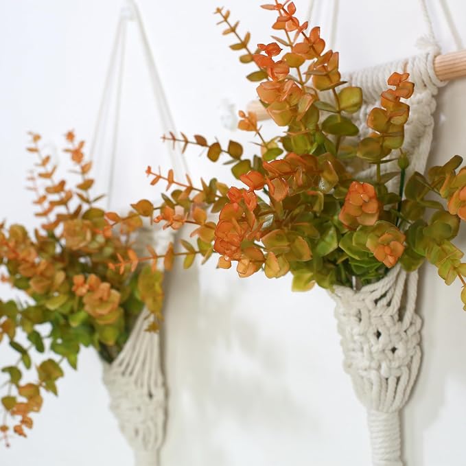 Macrame Wall Hanging Plants - Image 3