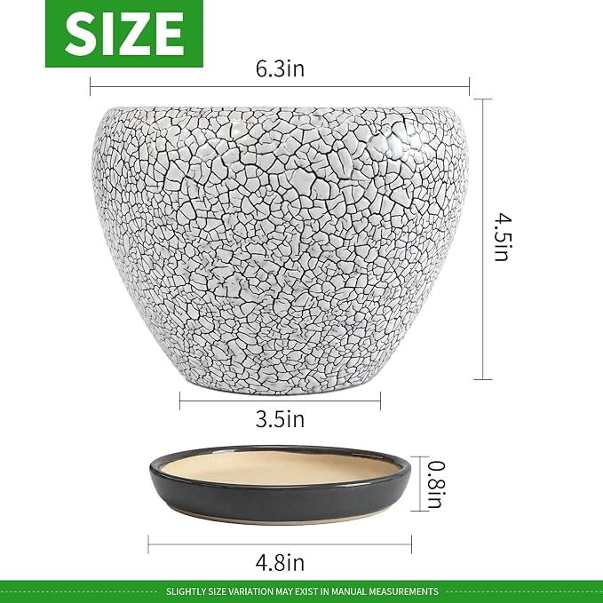 Deep Dream 6 Inch Plant Pots- Ceramic Planter Pot - Image 3