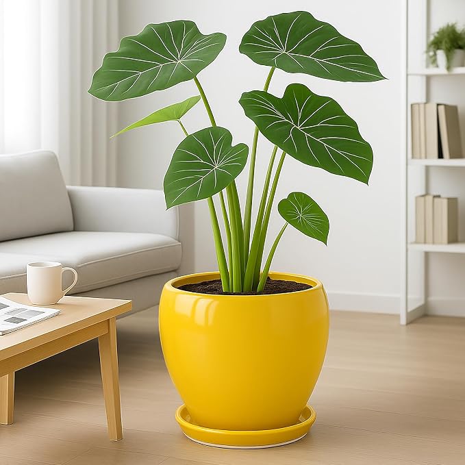 Deep Dream 10 Inch Plant Pot- Ceramic Planter Pot Round Plant Pots - Image 4