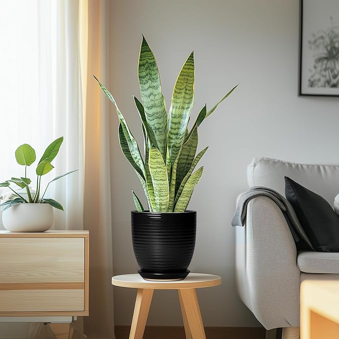 6 Inch Plant Pot - Image 6