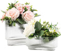 Short Glass Vases, Ribbed Vase for Flowers, Modern Small Vase for Living Room by YANWE