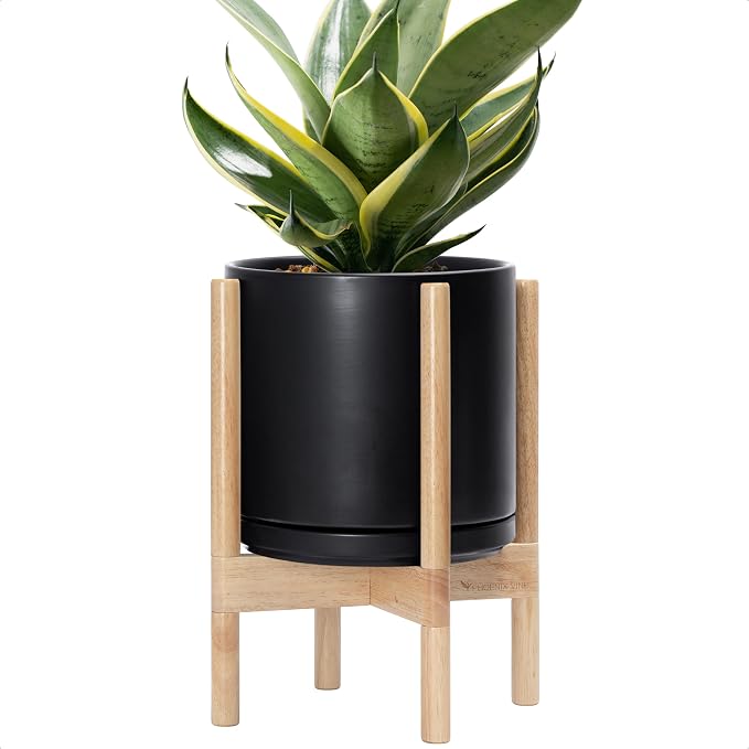 D'vine Dev Ceramic Pot with Natural Wood Stand, 10 in, 55-B-K-2 | Mid-Century by DvineDevPlanterPotsandStand