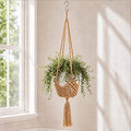 Shappy 1 Pack Boho Macrame Plant Hanger by Shappy