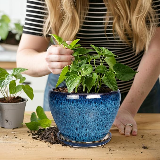 Ceramicfor 8 Inch Ceramic Plant Pot, Ceramic Planter Pot - Image 5